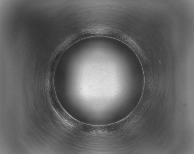 X0000083990586200702161134