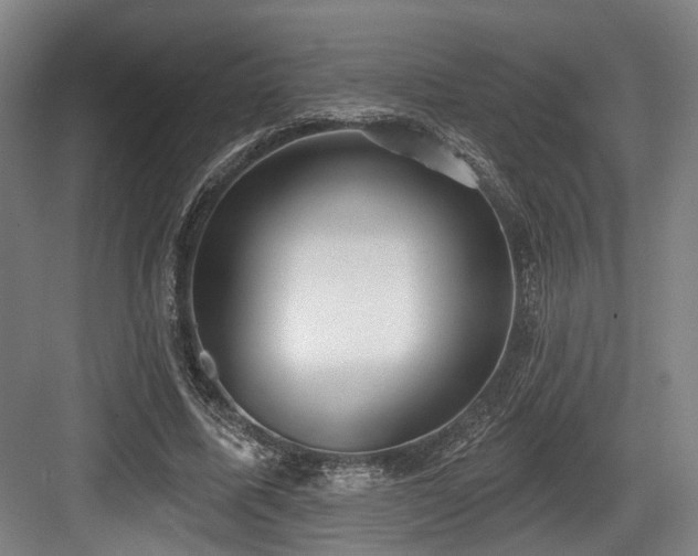 X0000083990587200702161134