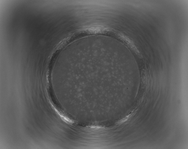 X0000083990590200702161134