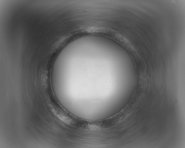 X0000083990592200702161134