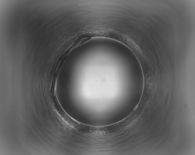 X0000083990593200702161134