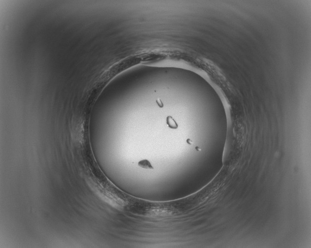 X0000083990596200702161134