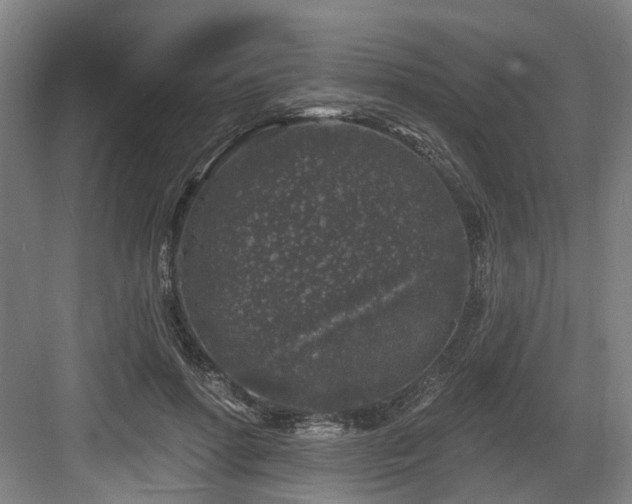 X0000083990598200702161134