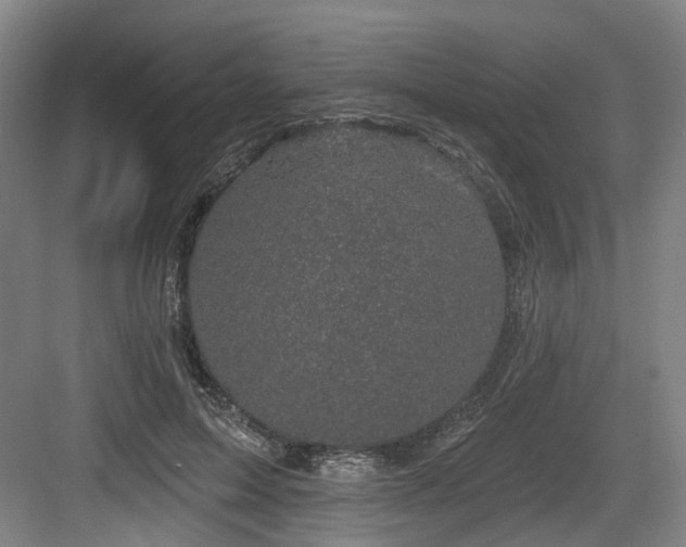 X0000083990599200702161134