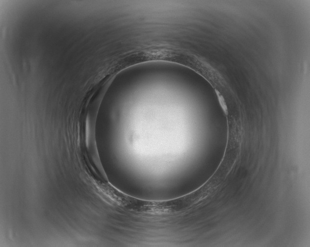 X0000083990601200702161134