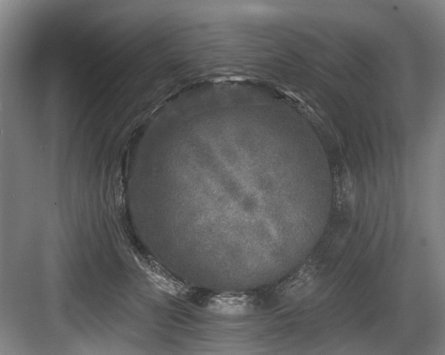 X0000083990606200702161134