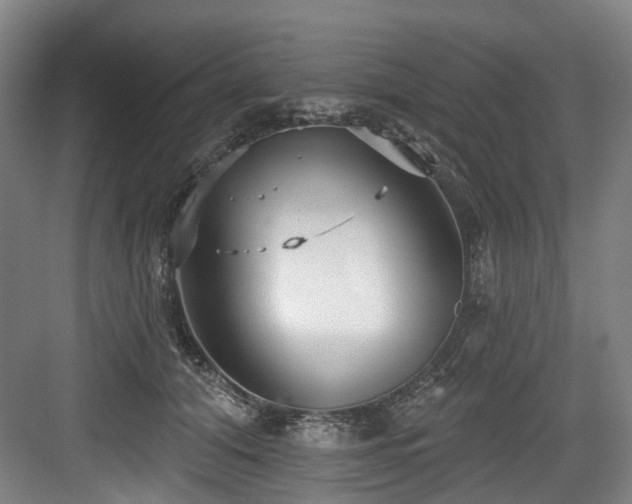 X0000083990608200702161134