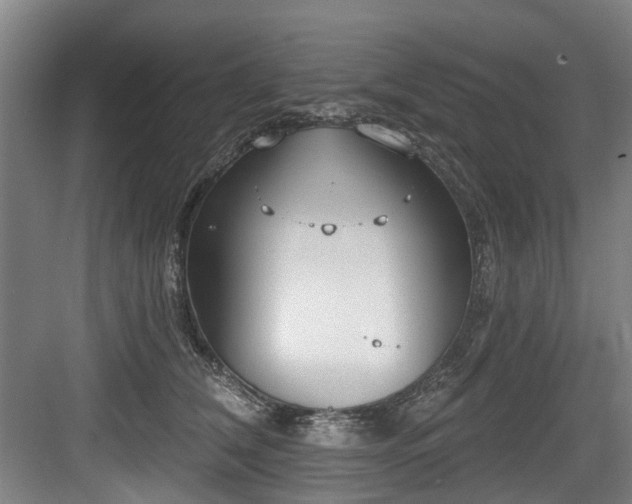 X0000083990612200702161134