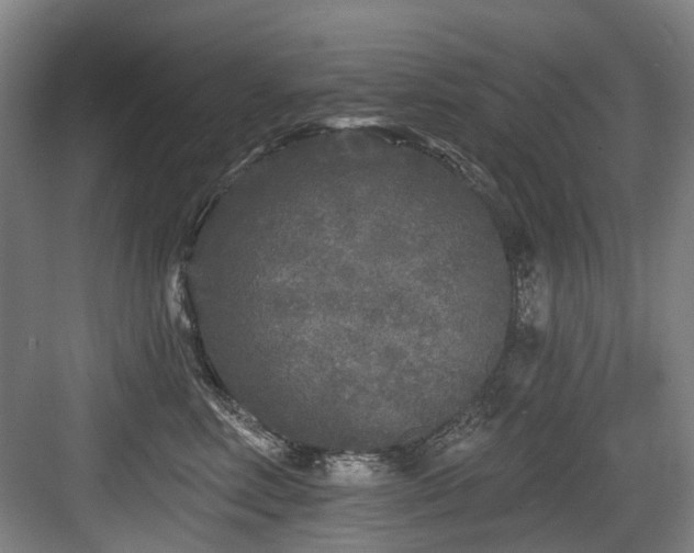 X0000083990618200702161134