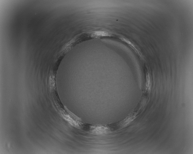 X0000083990621200702161134