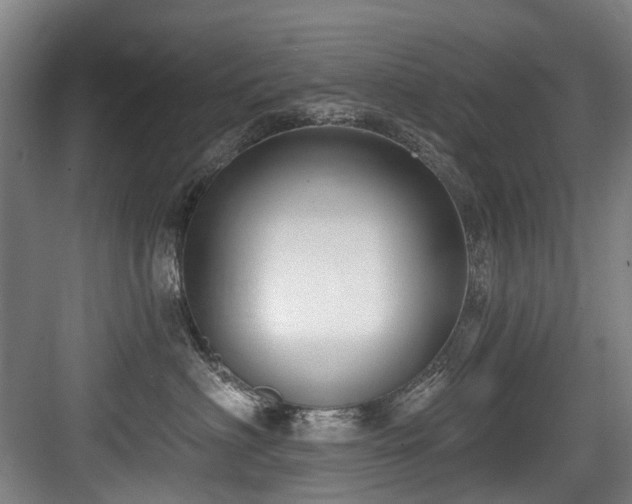 X0000083990622200702161134