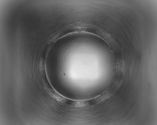 X0000083990623200702161134