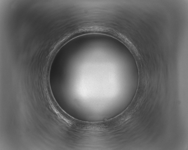 X0000083990625200702161133