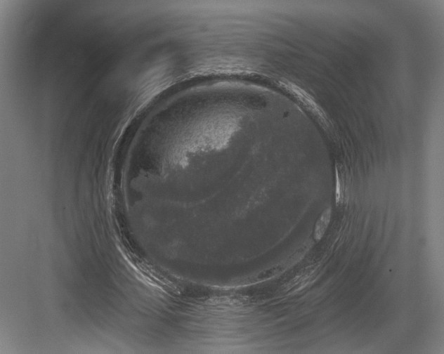 X0000083990627200702161133