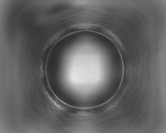 X0000083990633200702161133