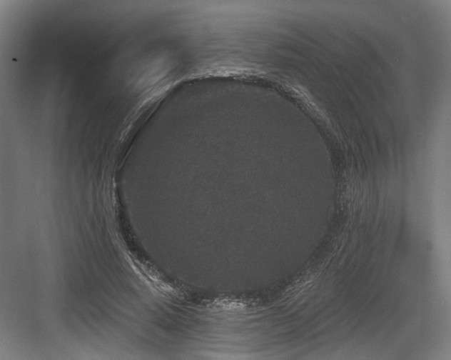 X0000083990640200702161133