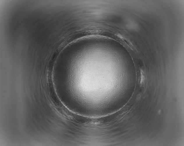 X0000083990647200702161133