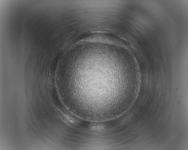 X0000083990653200702161134