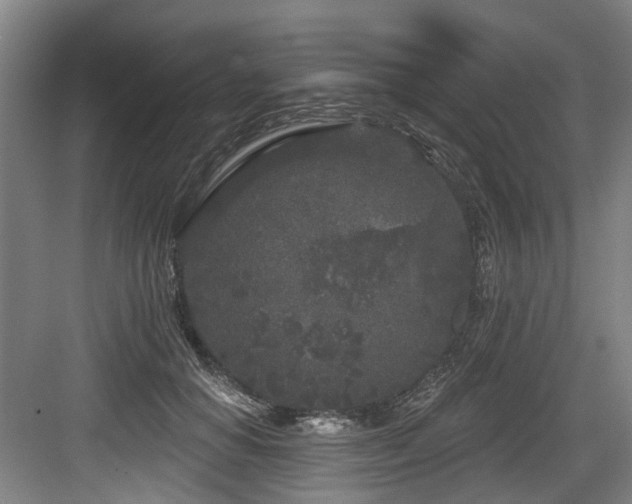 X0000083990654200702161134