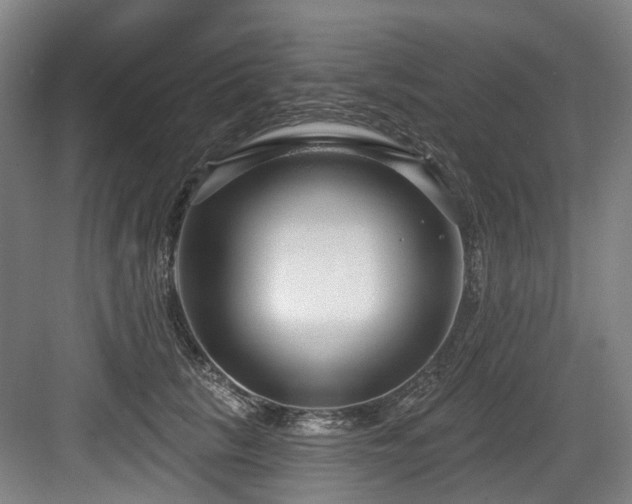 X0000083990657200702161134