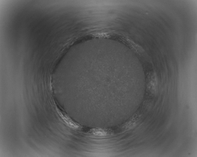 X0000083990658200702161134