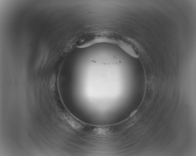 X0000083990660200702161134