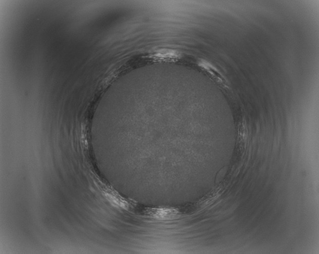 X0000083990663200702161134