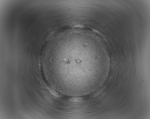 X0000083990664200702161134