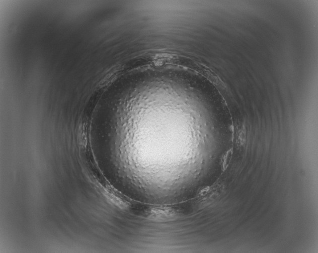 X0000083990666200702161134