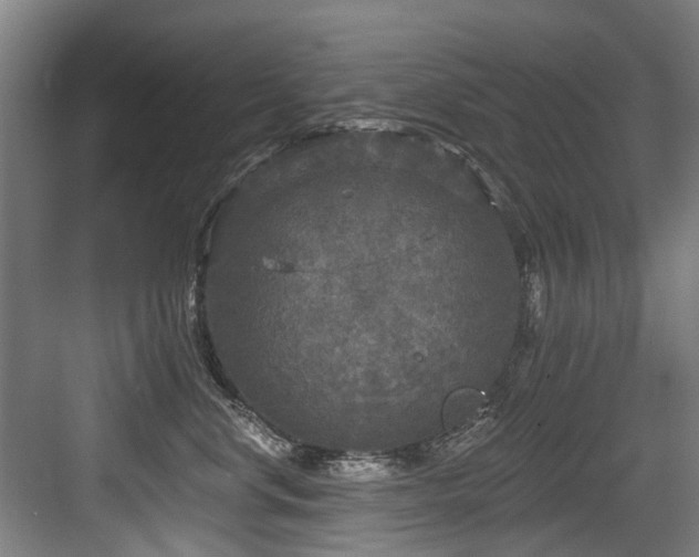 X0000083990668200702161134