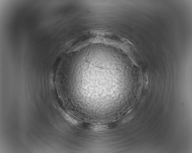 X0000083990670200702161134