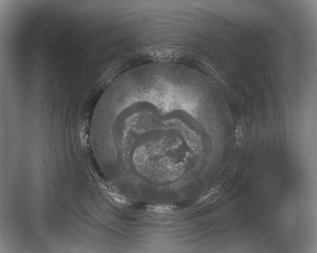 X0000083990671200702161134