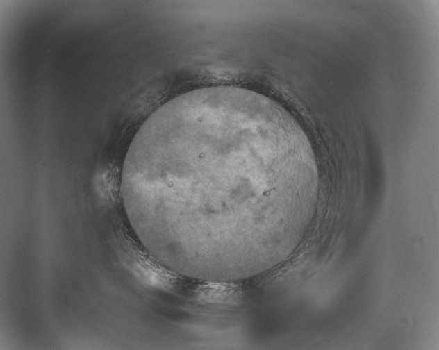 X0000083990672200702161134