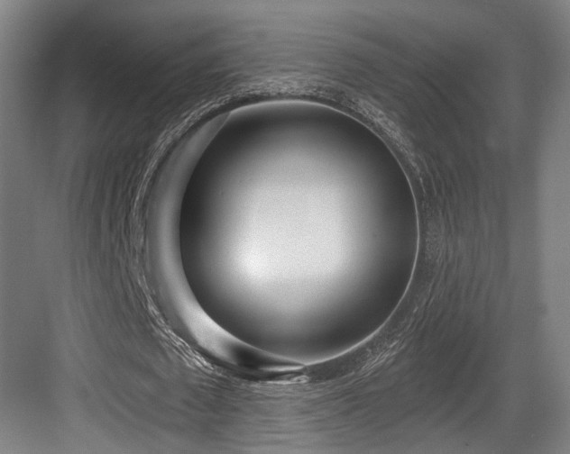 X0000083990673200702161133
