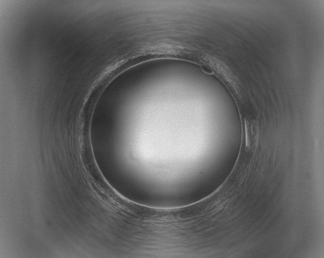 X0000083990675200702161133