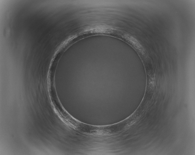 X0000083990678200702161133