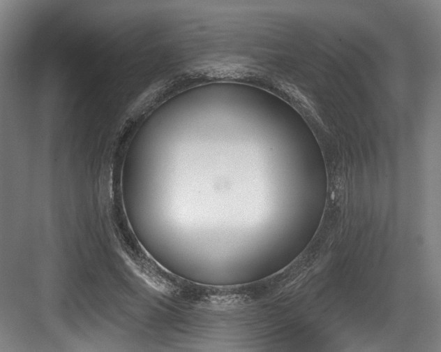 X0000083990686200702161133