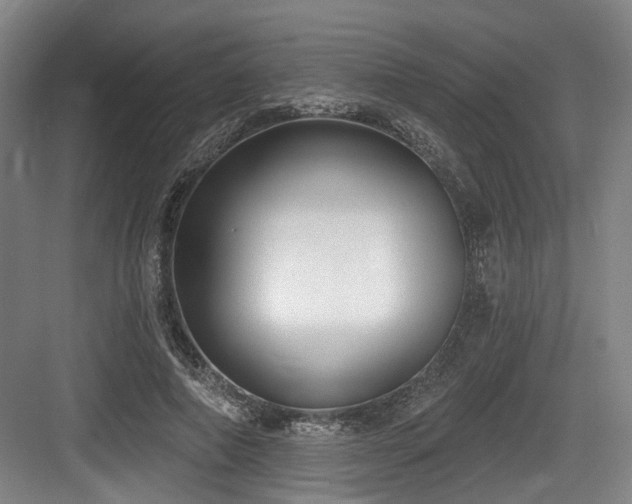 X0000083990690200702161133