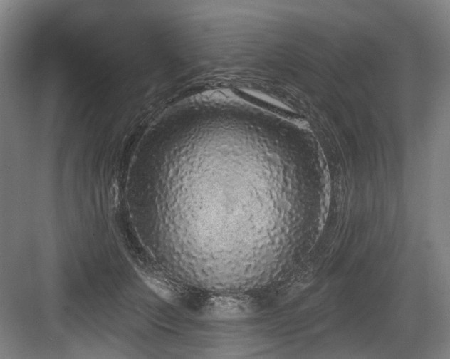 X0000083990703200702161133