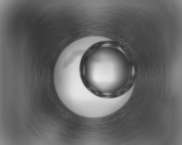 X0000083990716200702161132