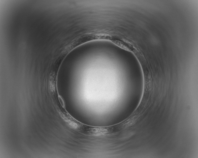 X0000083990719200702161132
