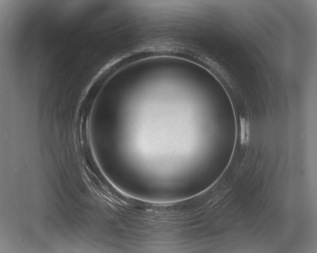 X0000083990723200702161131