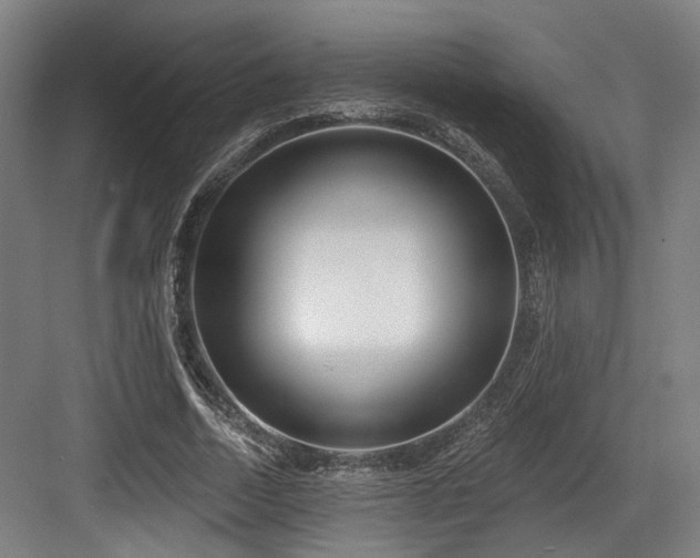 X0000083990730200702161132