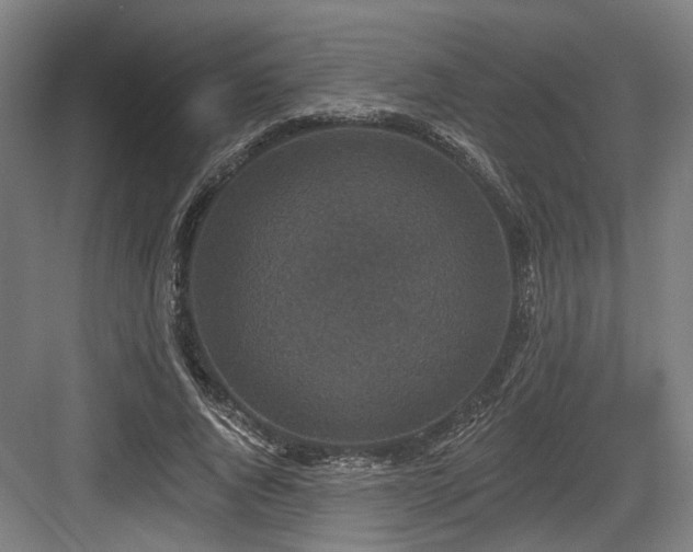 X0000083990736200702161132