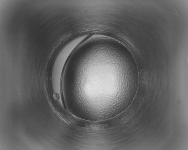 X0000083990738200702161132