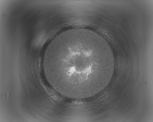 X0000083990742200702161132
