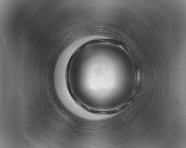 X0000083990750200702161132