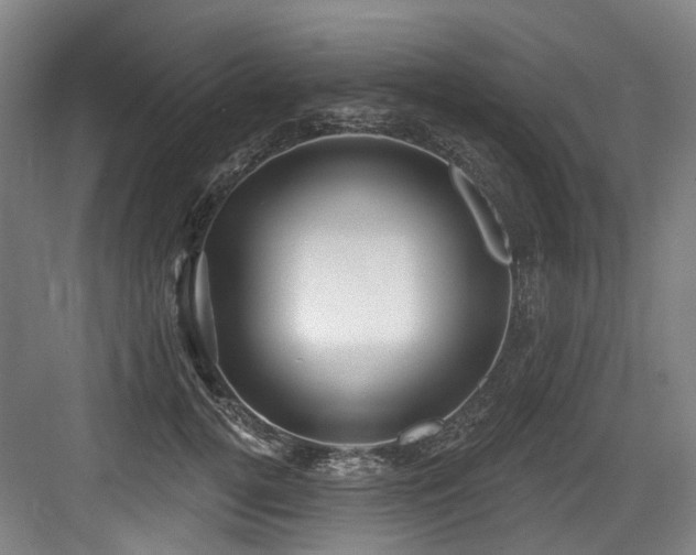 X0000083990752200702161132