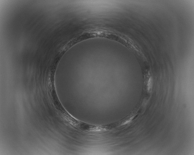 X0000083990754200702161132