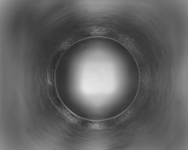 X0000083990755200702161132